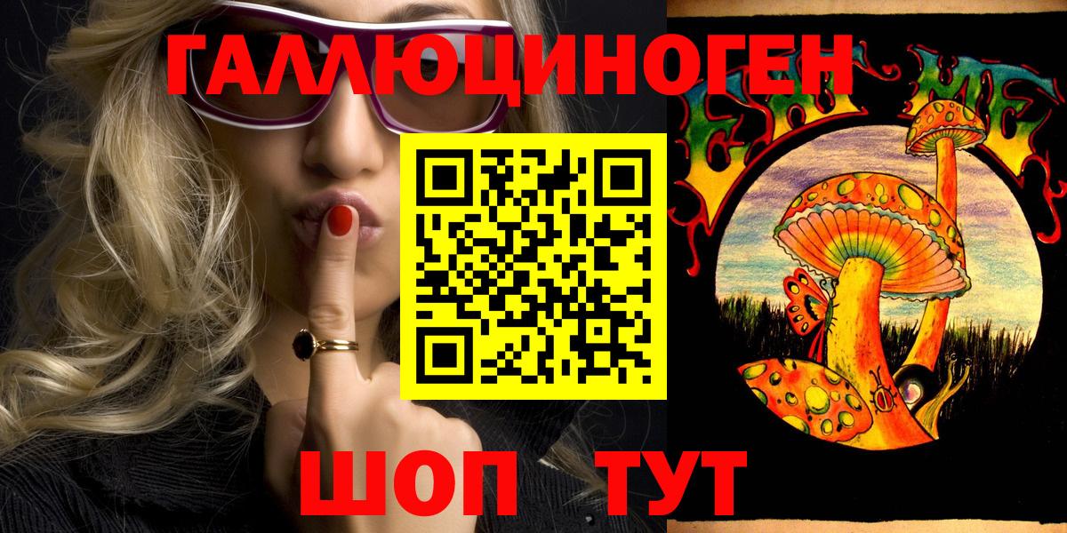 Псилоцибиновые грибы Cubensis Великий Новгород